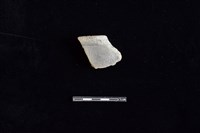 藏品(陶罐)的圖片